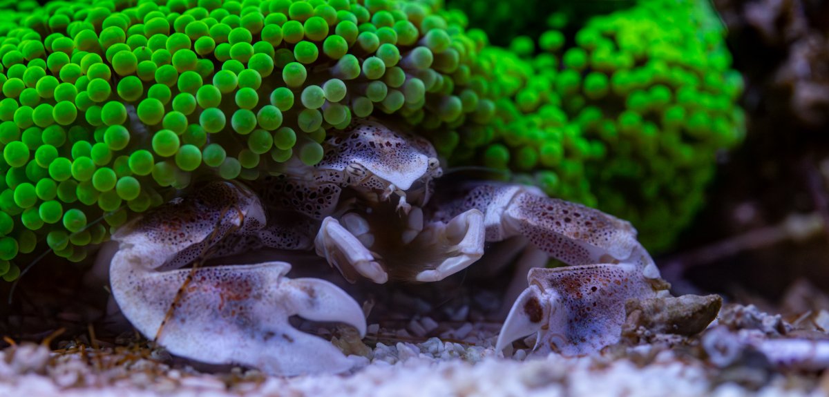 Architecture Photography